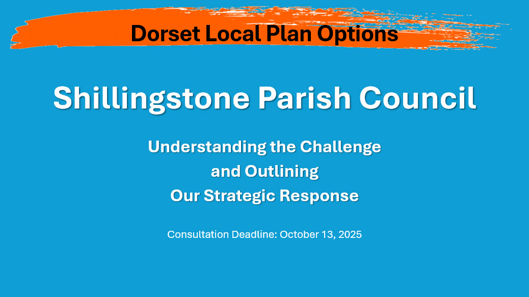 Dorset Council Local Plan - Parish Council Action